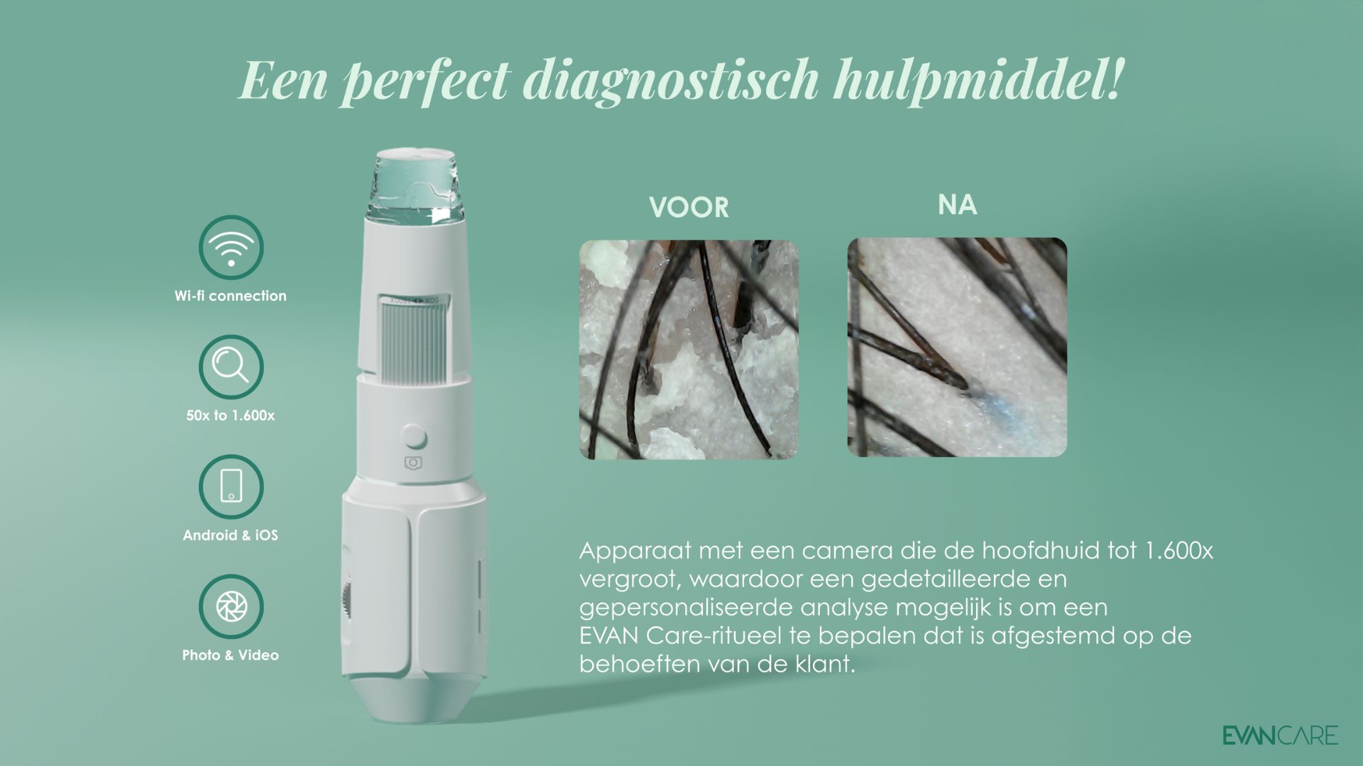 Evan Care Detox treatment for Professionals